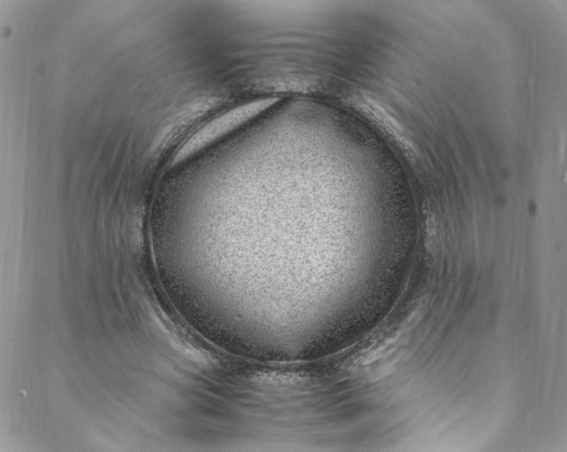 X0000088660537200706081705