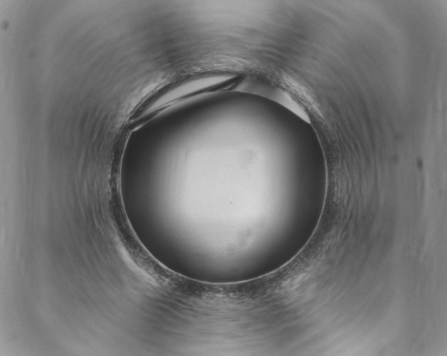 X0000088660538200706081705