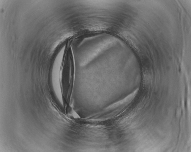 X0000088660539200706081705