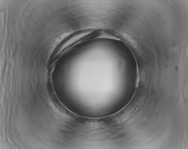 X0000088660540200706081705