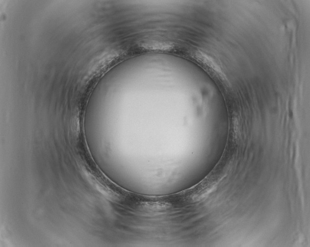 X0000088660541200706081705