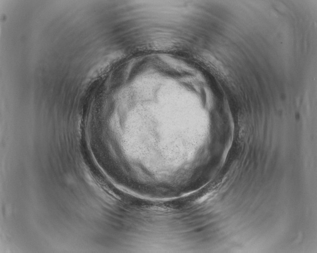 X0000088660542200706081705