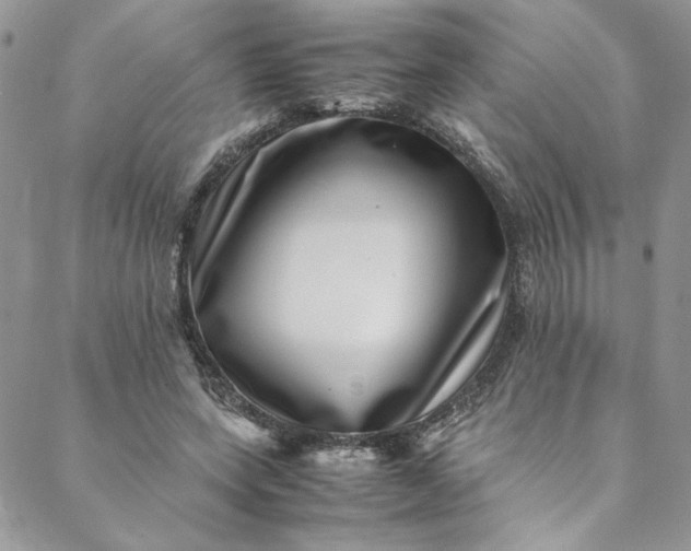 X0000088660543200706081705