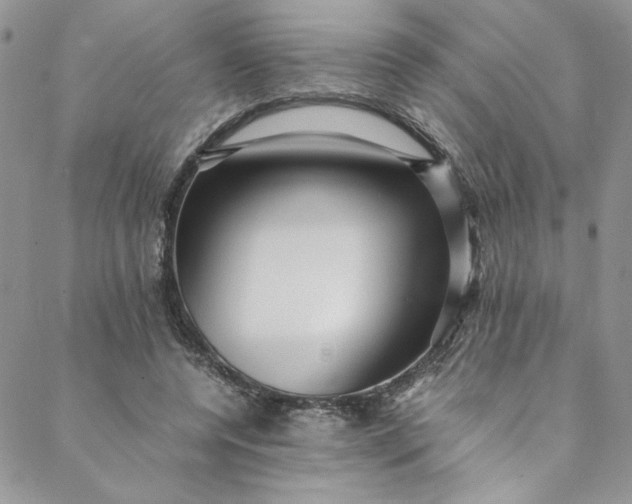 X0000088660544200706081705