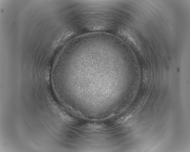 X0000088660545200706081705