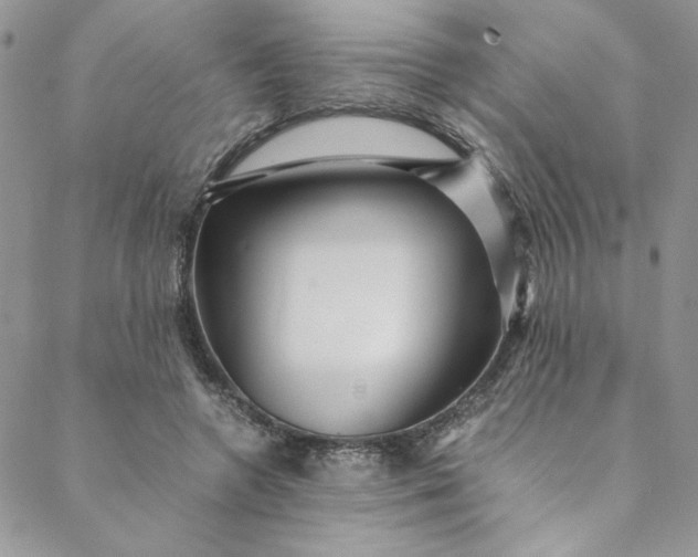 X0000088660546200706081705