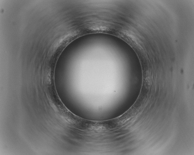 X0000088660547200706081705