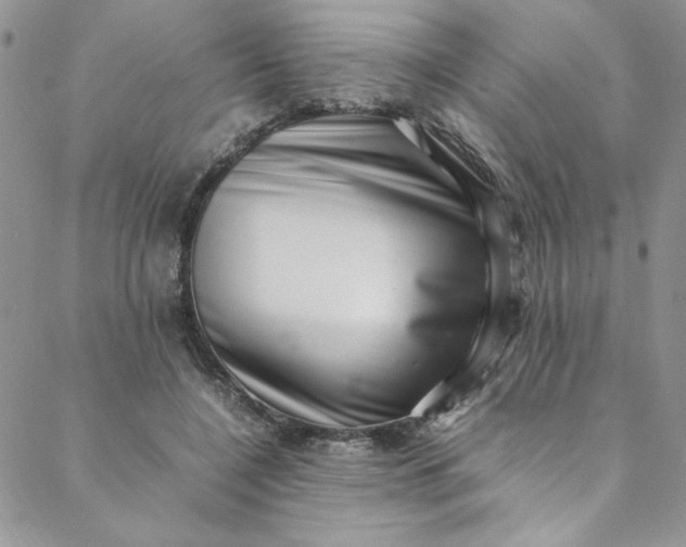 X0000088660548200706081705