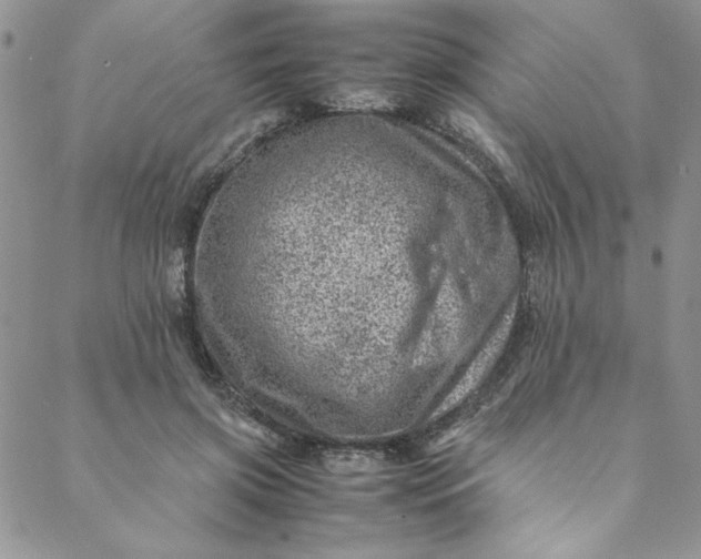 X0000088660549200706081705