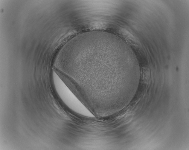 X0000088660550200706081705