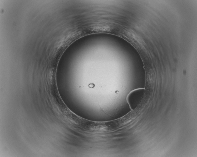 X0000088660551200706081705