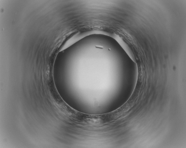 X0000088660552200706081705