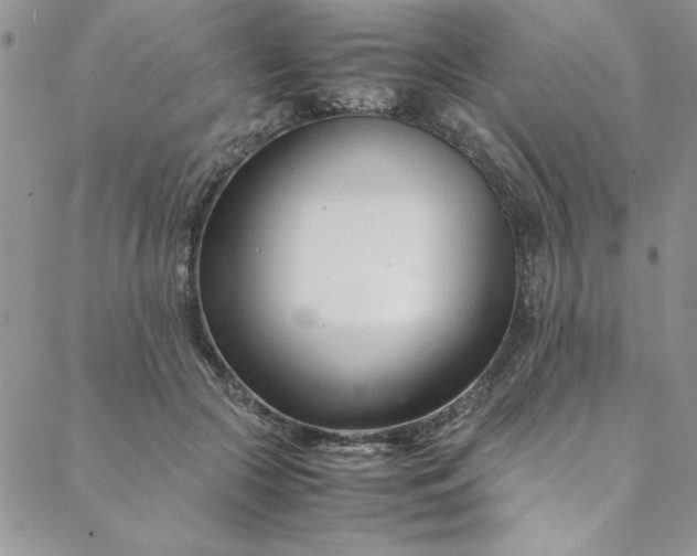 X0000088660553200706081705