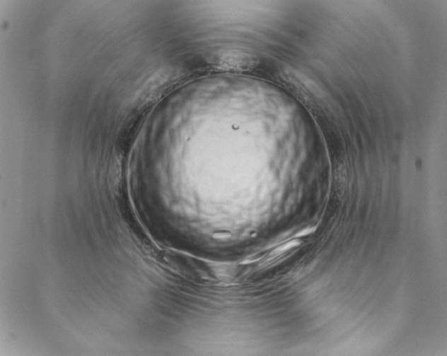 X0000088660554200706081705