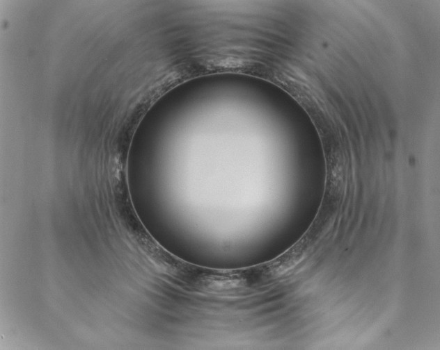 X0000088660555200706081705