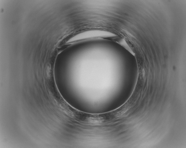 X0000088660556200706081705