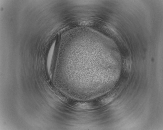 X0000088660557200706081705