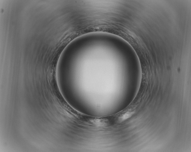 X0000088660558200706081705