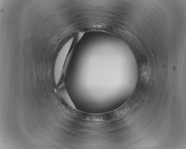 X0000088660559200706081705