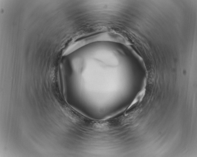 X0000088660560200706081705