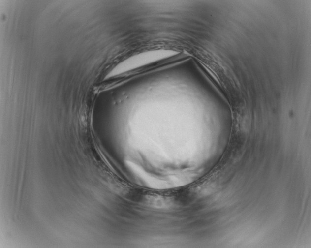 X0000088660561200706081705