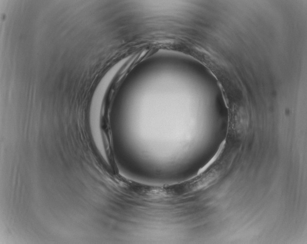 X0000088660562200706081705