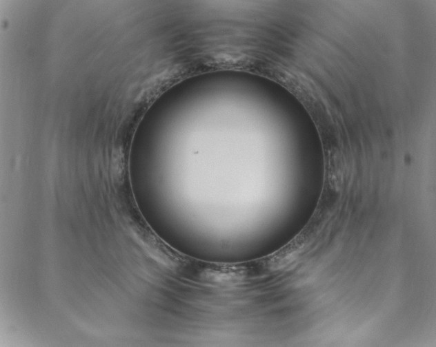 X0000088660563200706081705