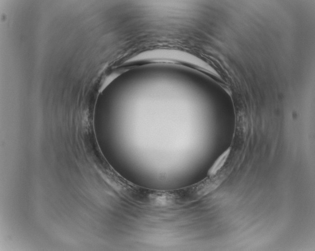 X0000088660564200706081705