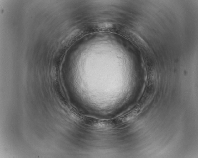 X0000088660565200706081705