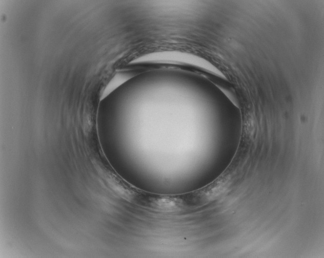 X0000088660566200706081705