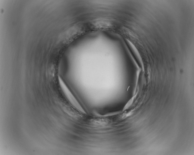 X0000088660567200706081705