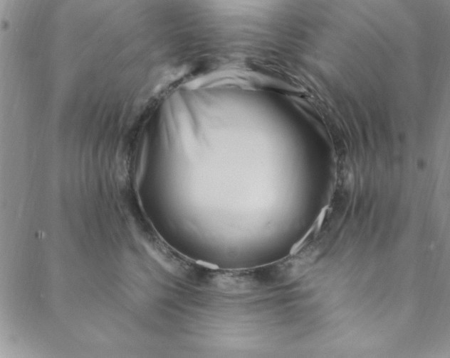 X0000088660568200706081705