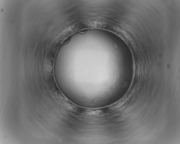 X0000088660569200706081705