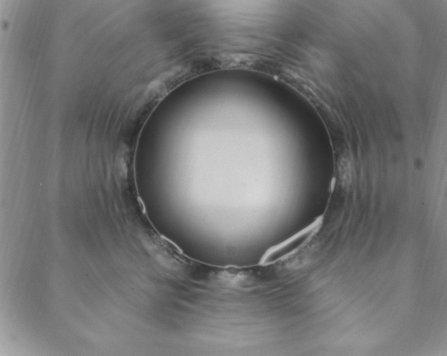 X0000088660570200706081705