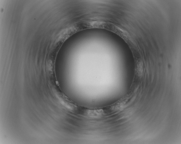 X0000088660571200706081705