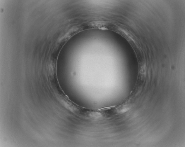 X0000088660572200706081705