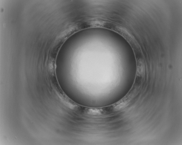 X0000088660573200706081706