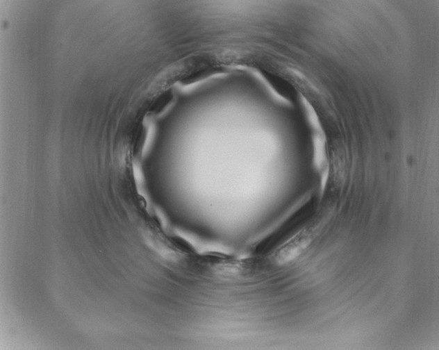 X0000088660574200706081706