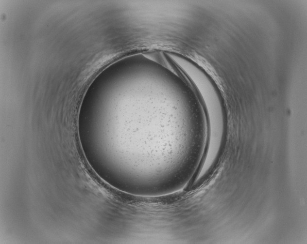 X0000088660577200706081705