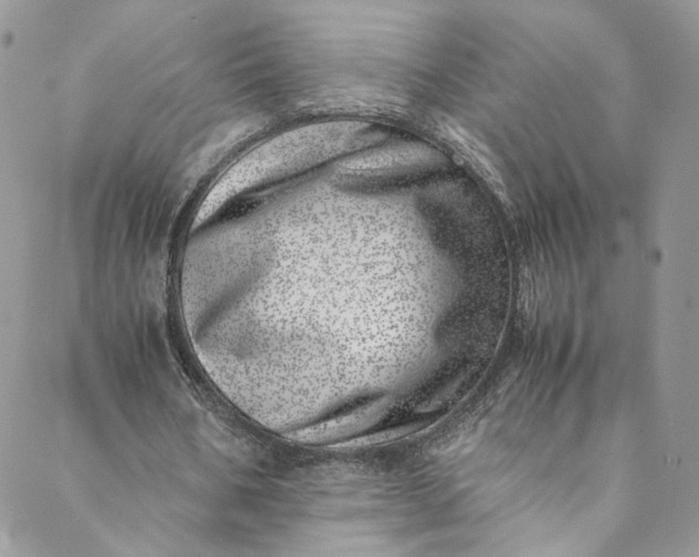 X0000088660578200706081705