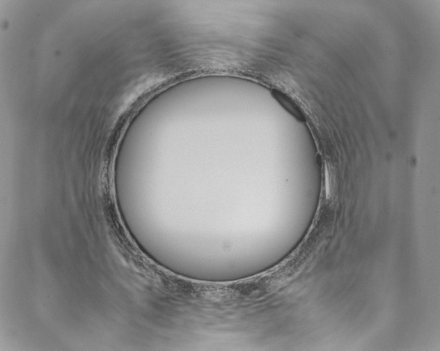 X0000088660579200706081705