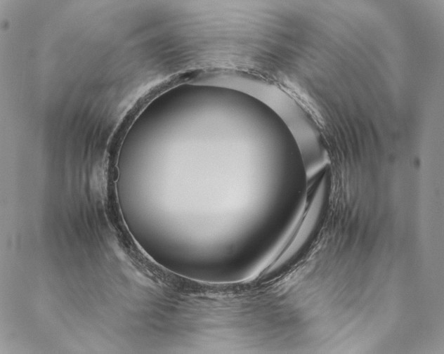 X0000088660580200706081705