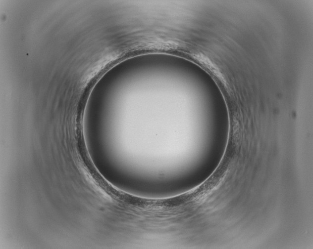 X0000088660581200706081705