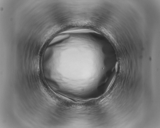 X0000088660582200706081705