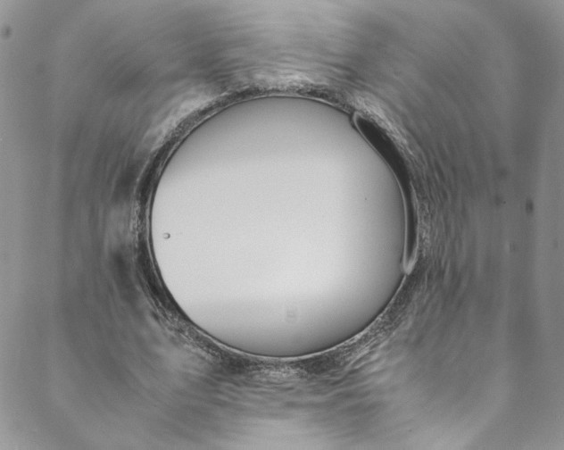 X0000088660583200706081705