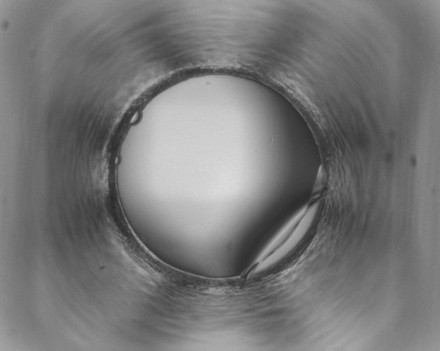 X0000088660584200706081705