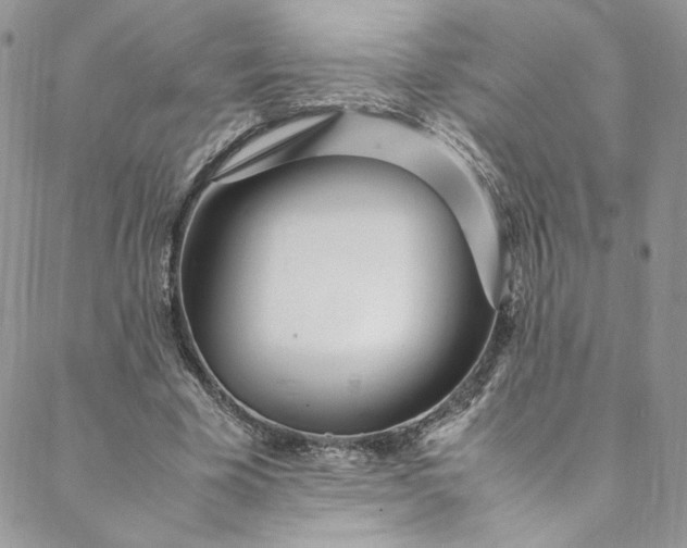 X0000088660585200706081705