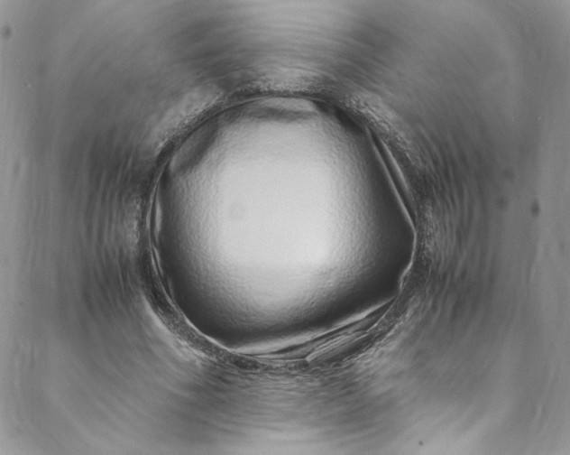 X0000088660586200706081705