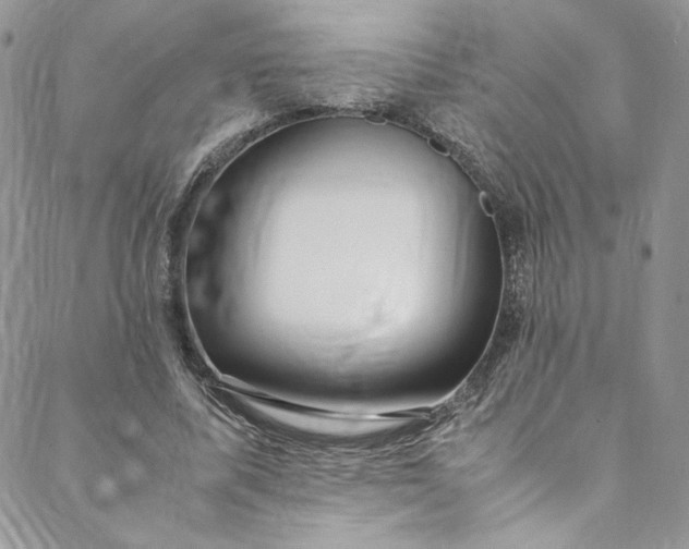 X0000088660587200706081705