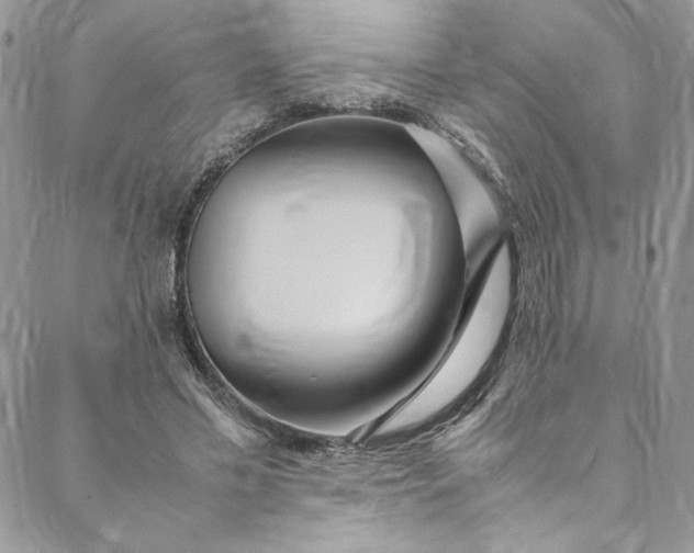 X0000088660589200706081705